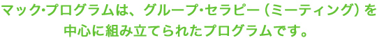 マック・プログラムは、グループ・セラピー（ミーティング）を中心に組み立てられたプログラムです。